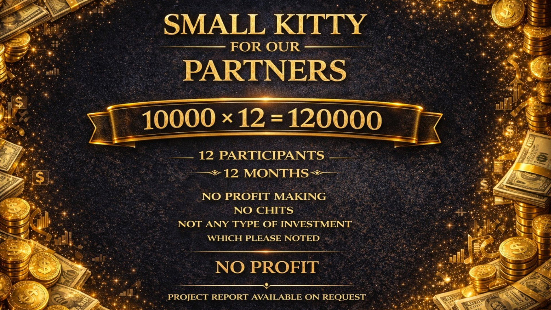 Small Kitty for Our Partners